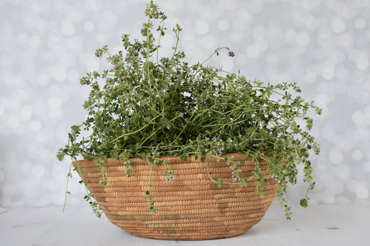 Thyme's Health Benefits