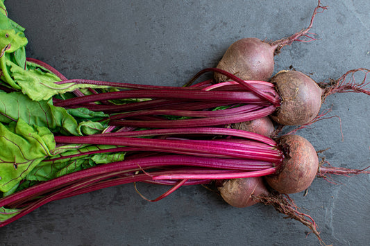 Bunch of Beets on grey backdrop