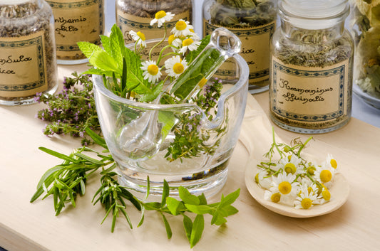 7 Reasons Why Herbs Don't Work For Some People