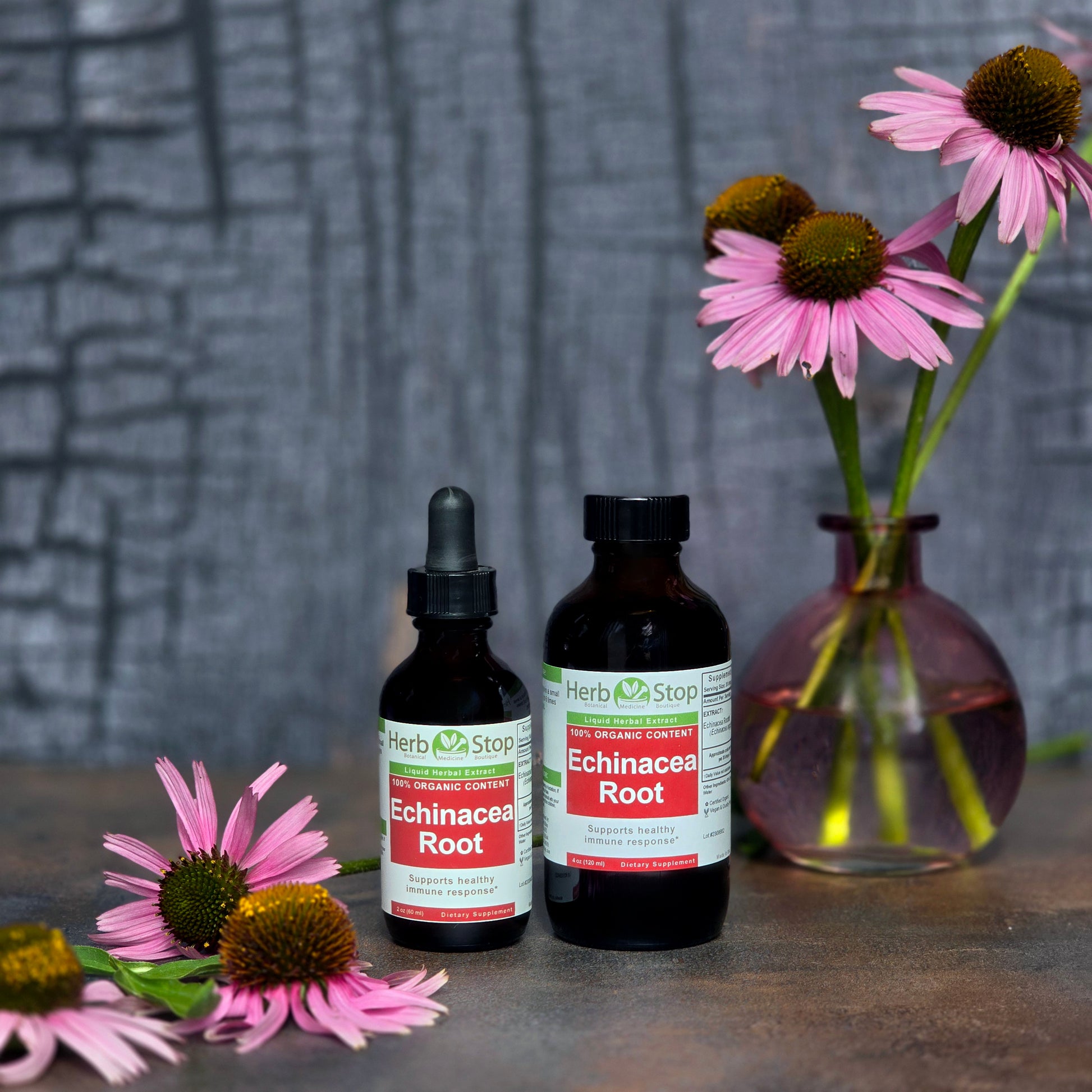 Echinacea Root Liquid Extracts with fresh flowers