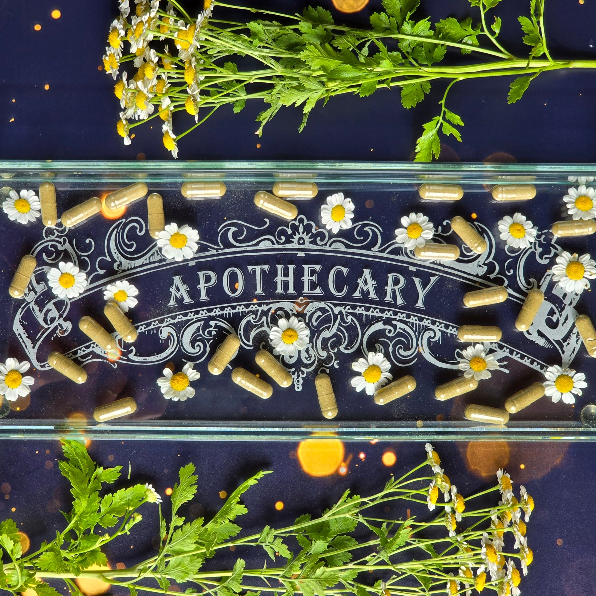 Feverfew capsules in a tray surrounded by fresh Feverfew