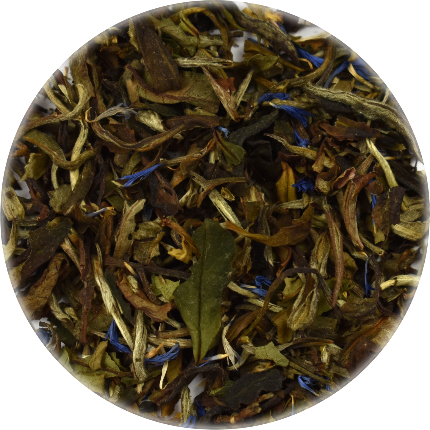 Bulk Blueberry Pomegranate Loose Leaf White Tea 