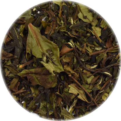 Bulk Blueberry Loose Leaf White Tea 