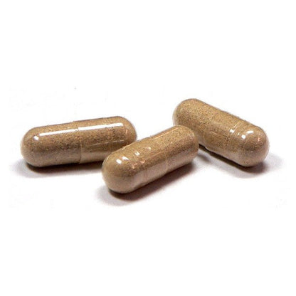 Osha Root Capsules