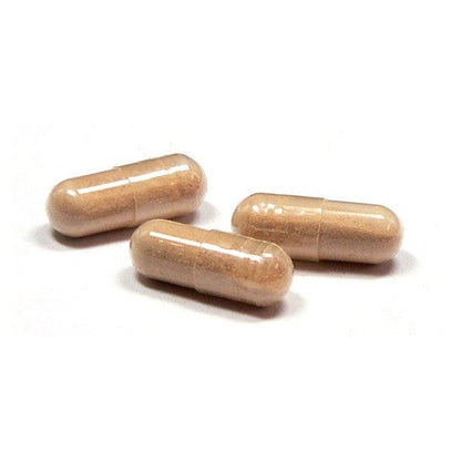 Amalaki (Amla) Capsules