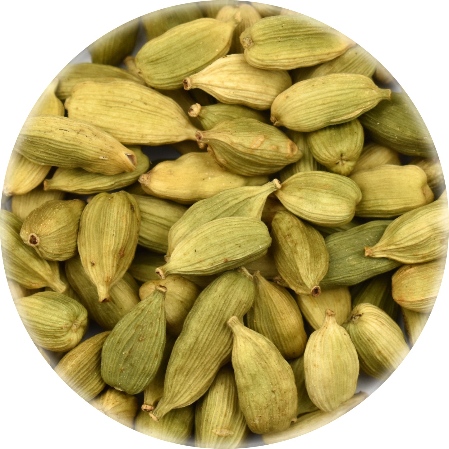 Organic Cardamom Pods Bulk