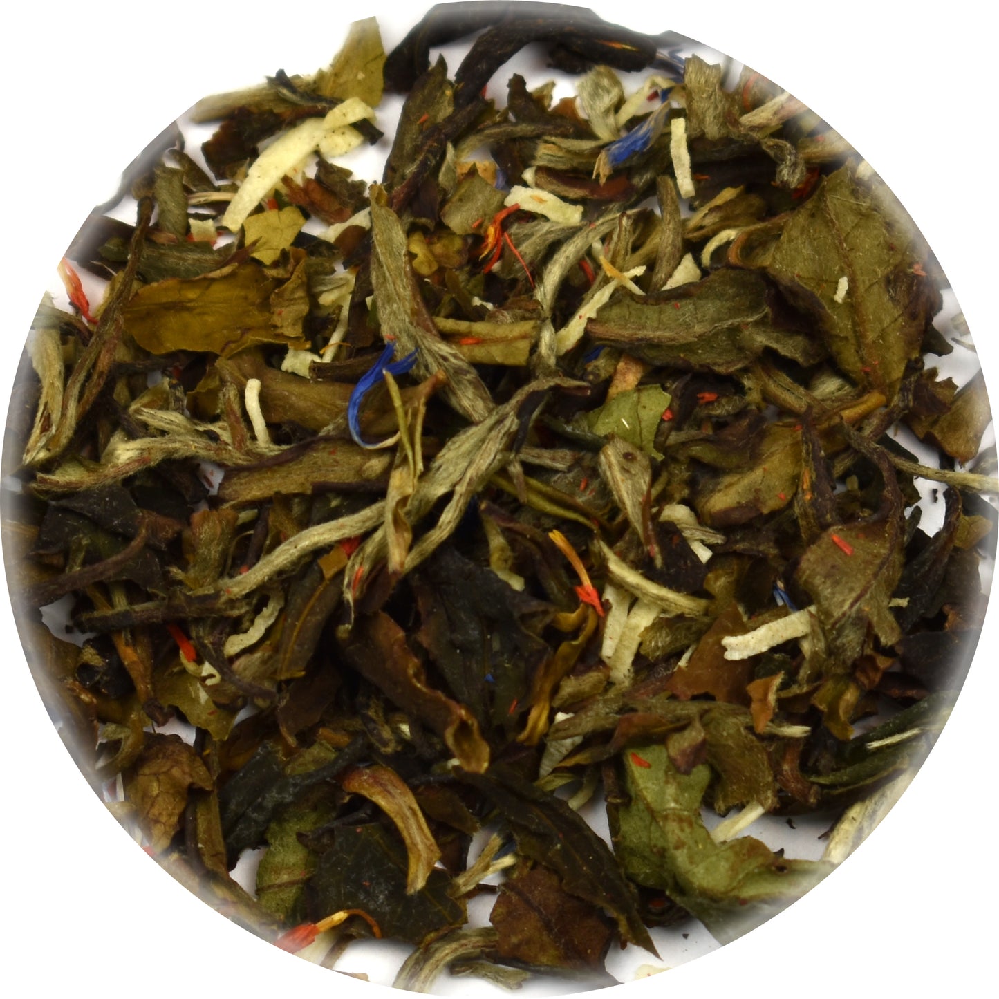 Coconut Cream Premium White Tea Bulk Loose Herbs