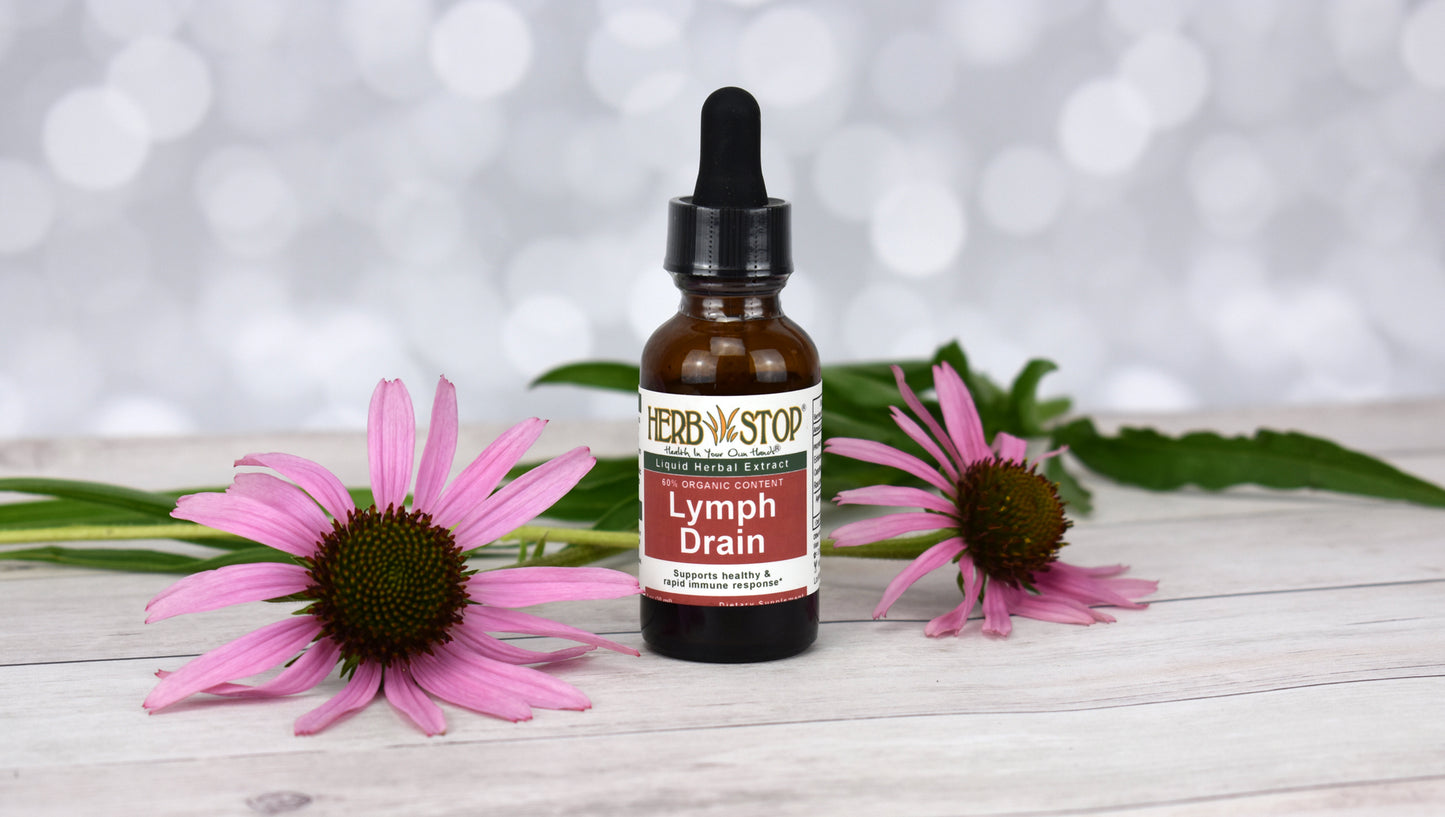 Lymph Drain Extract with Echinacea Flowers