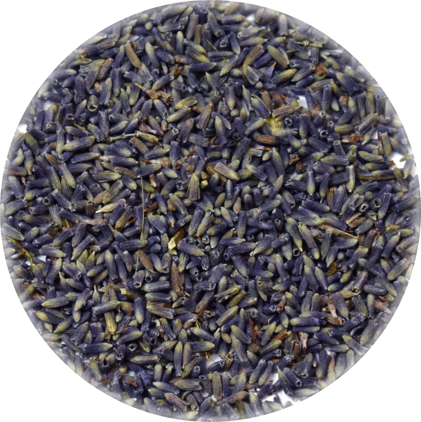 Bulk Super Lavender Flowers Loose Tea Tisane